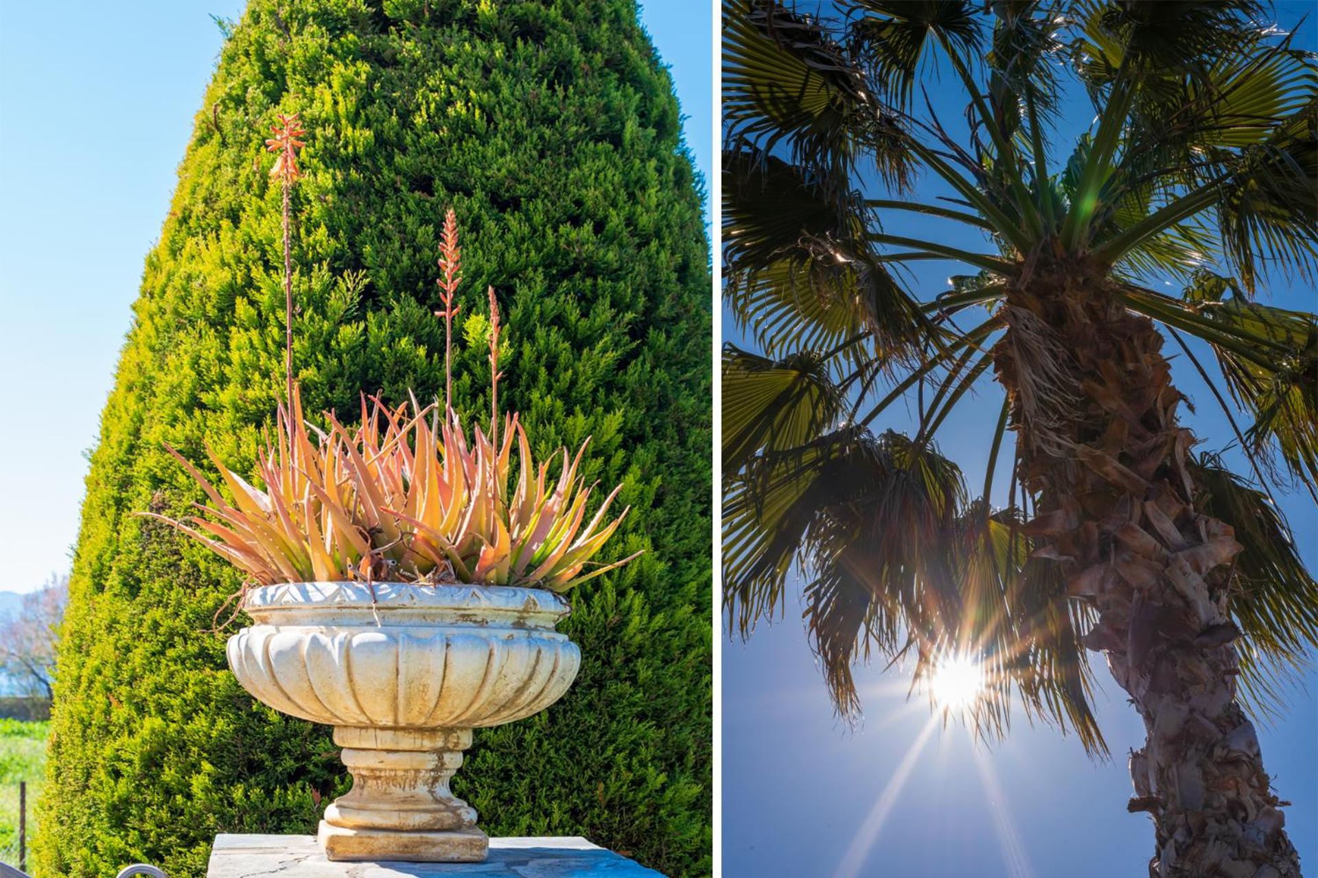 阿格里亚Christina'S Twin Palm Trees House公寓 外观 照片